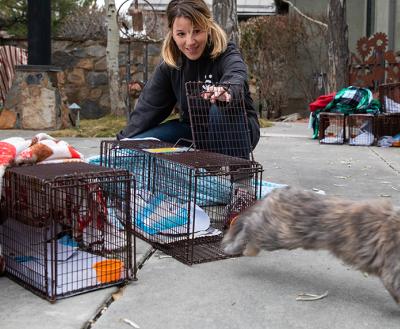 Person releasing a running community cat from a humane trap