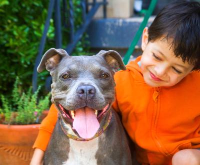 Young smiling person sitting next to a dog on some steps