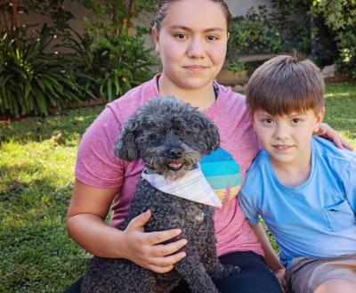 Small black dog wearing a bandanna being in the lap of a person sitting outside next to a child