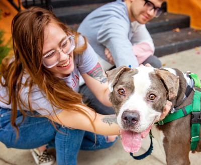 Two people kneeling on the sidewalk with a big dog