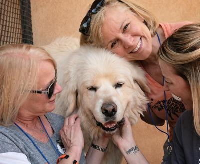Three smiling volunteers with a happy dog