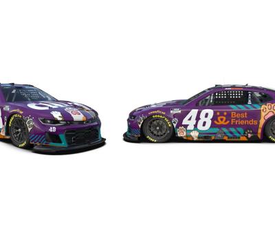 Best Friends branded Ally Racing Car number 48