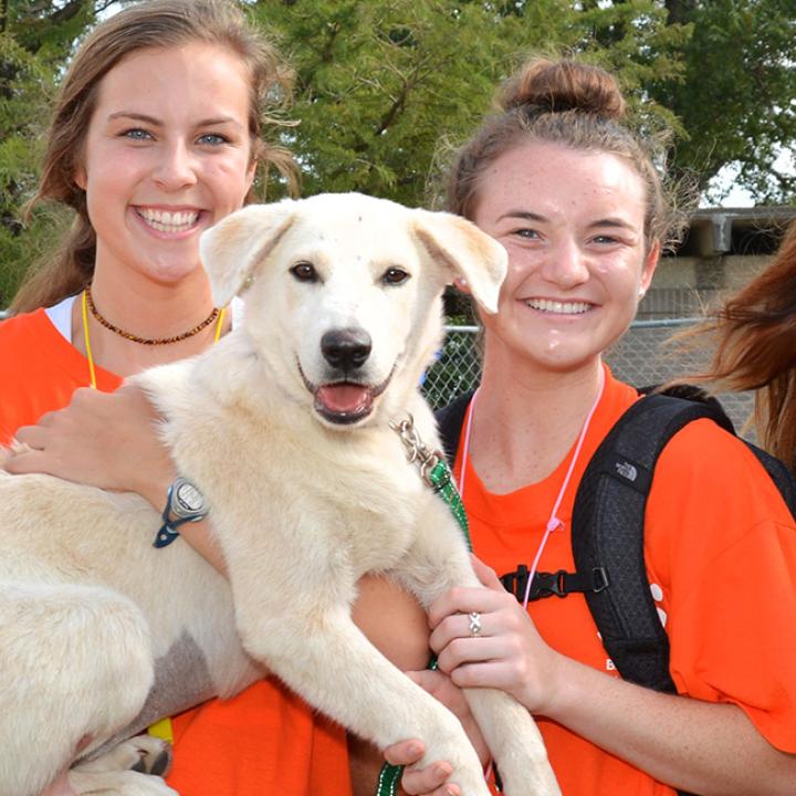 Group of Best Friends volunteers wearing orange T-shirts holding a big blond puppy