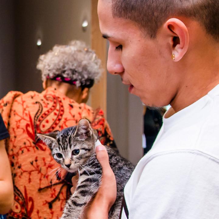 Potential pet adopters meeting a kitten in SoHo pet adoption center in New York City