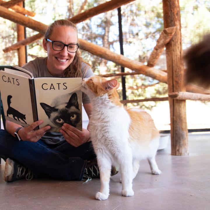 Person reading to a cat in an outdoor cat enclosure