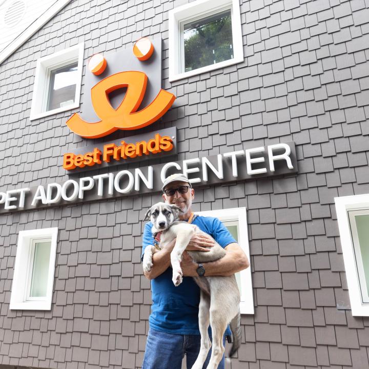 Person holding a dog in front of the Best Friends Pet Adoption Center in Los Angeles