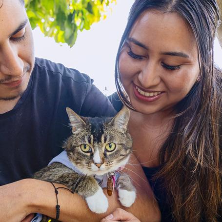 Two people cradling a tabby cat with white paws