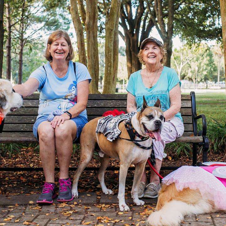 2 older women sitting on bench with 3 larger dogs