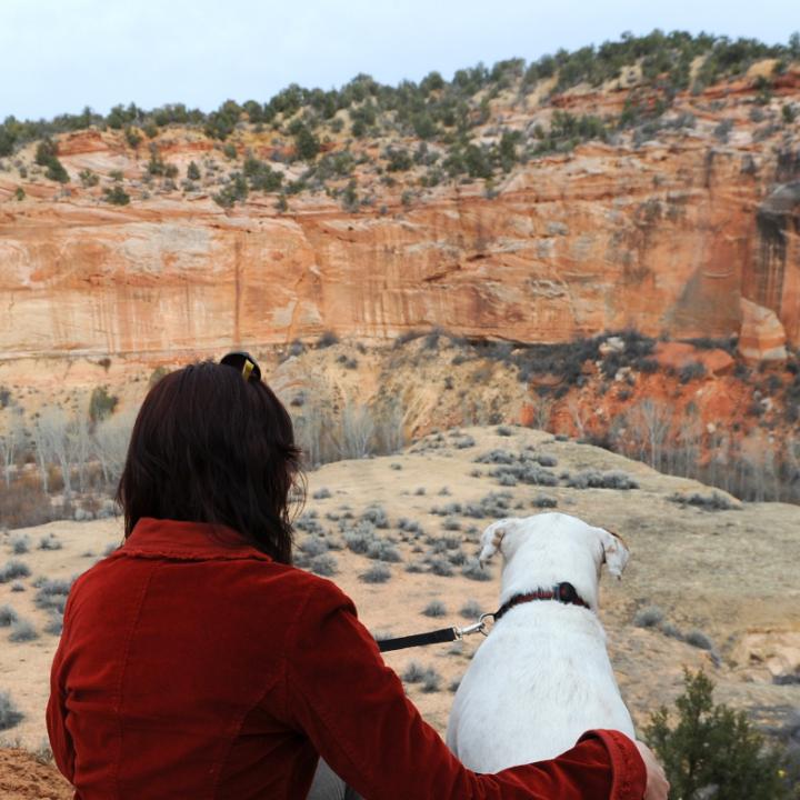 Person sitting next to a dog looking out over Angel Canyon at Best Friends Animal Sanctuary