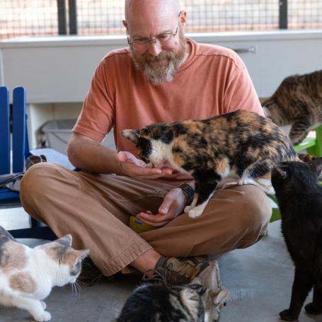 man sitting on floor playing with cats