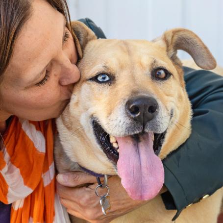 Person hugging a dog outside
