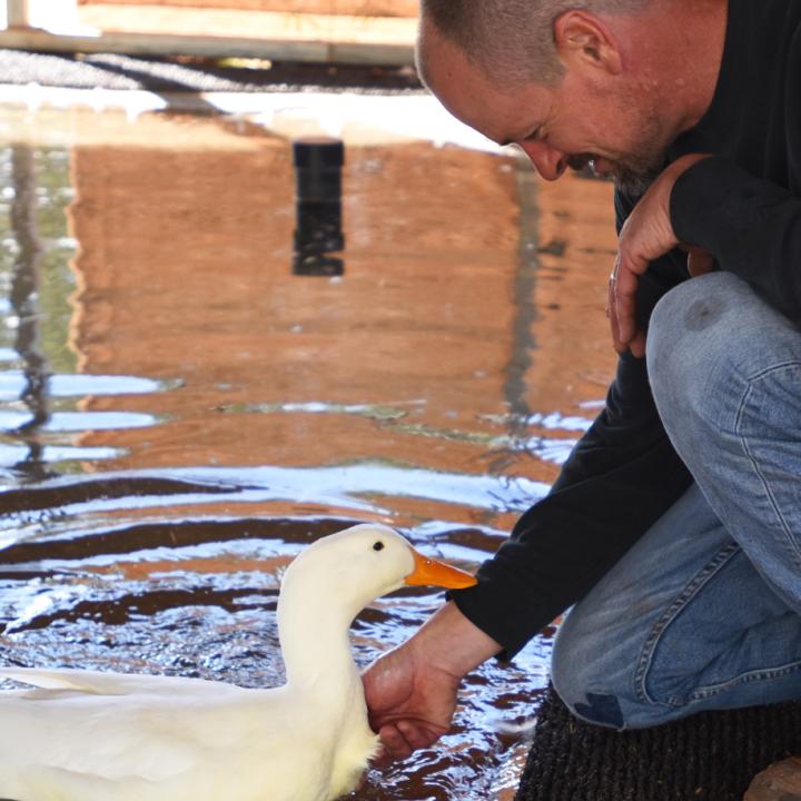 Person petting a duck in a small pond