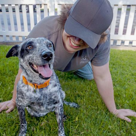 Person playing with a dog in a yard