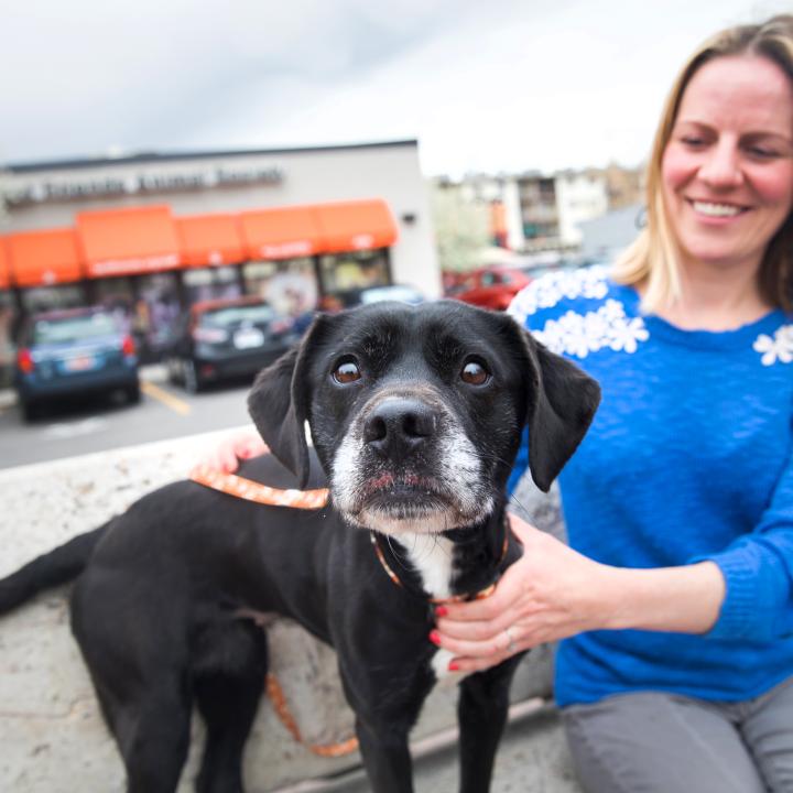 Salt Lake City Pet Adoption Center Best Friends Animal Society