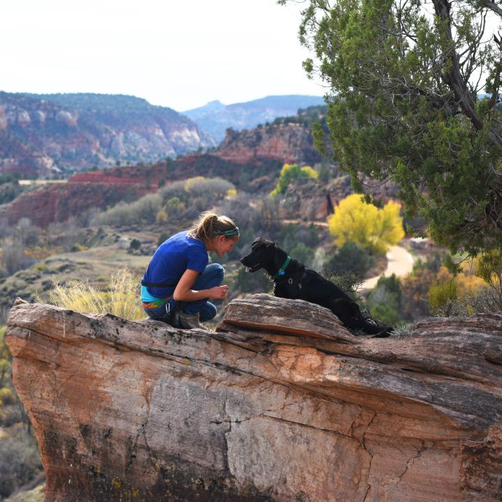 Person on a hike with a dog in southern Utah