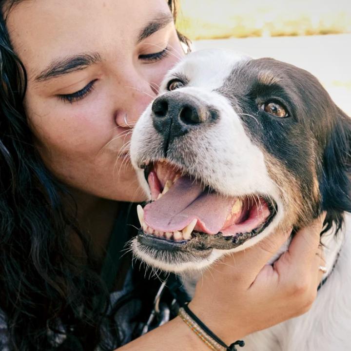 Woman kissing the face of a happy dog