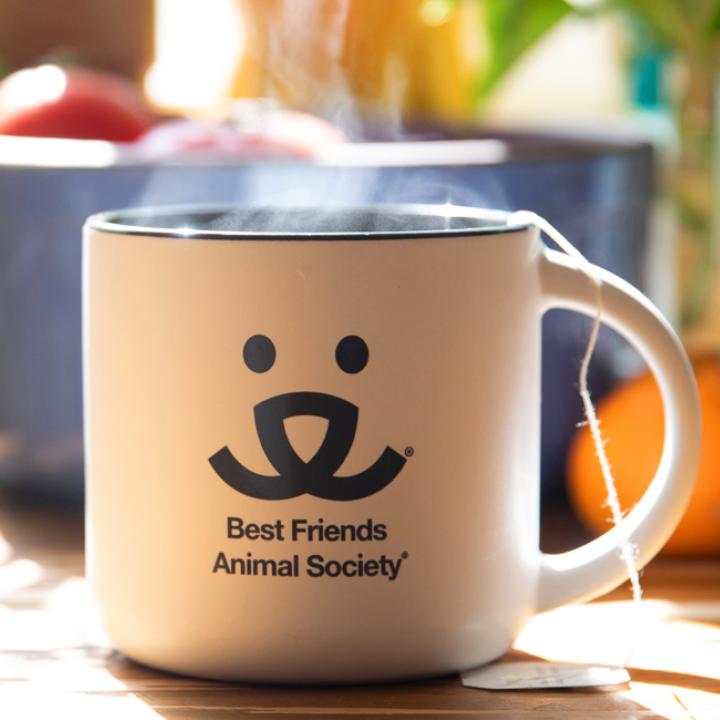 Best Friends mug with steam rising out of it on a table top