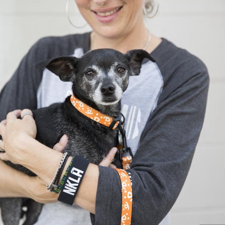 Woman holding smaller dog wearing NKLA wristband