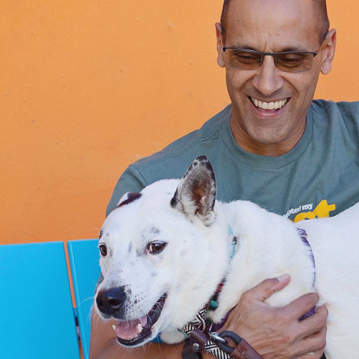 Smiling person hugging a white dog on a blue bench in front of an orange wall