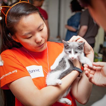 Volunteer holding a tiny kitten at a New York City pet adoption event