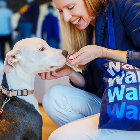 Person holding a Walmart bag kneeling down to give a dog a treat