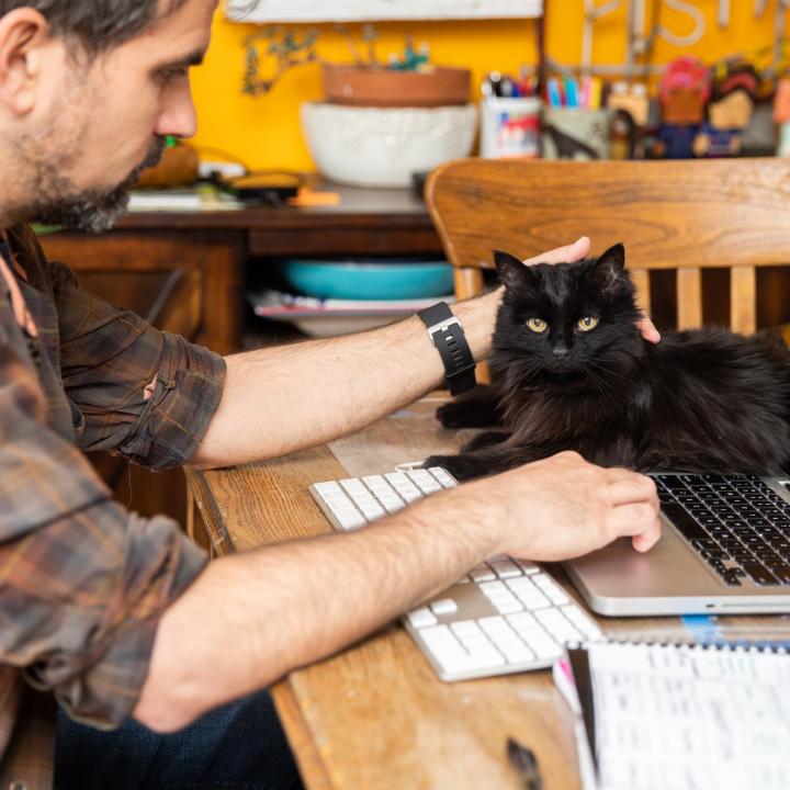 Man working from home with black cat by computer