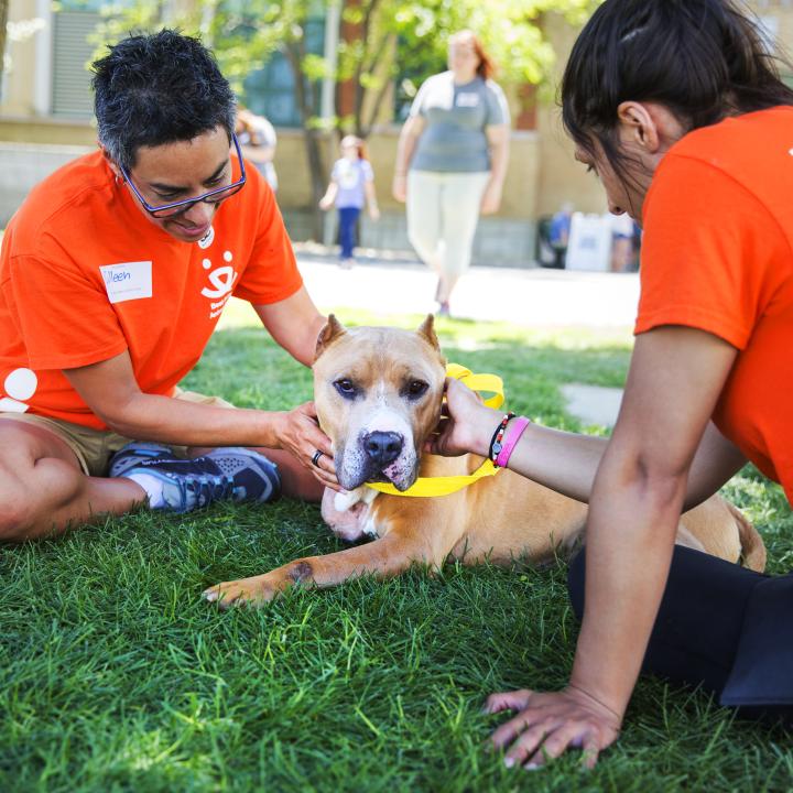Two volunteers sitting on the grass petting a dog