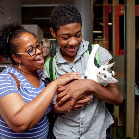 woman and man holding and petting cat
