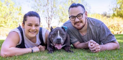 Couple lying in grass with gray dog