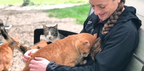 Orange cat nuzzling woman with braid in black jacket