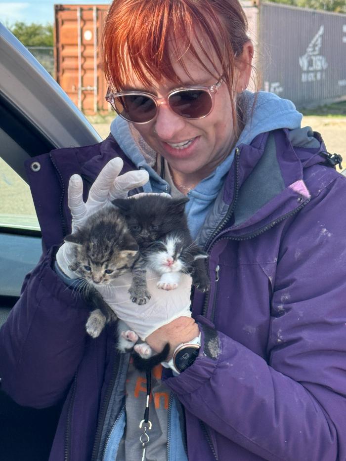 Malyn Gilbert holding the three rescued kittens