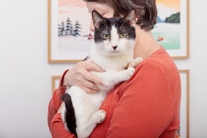 Person holding a black and white cat