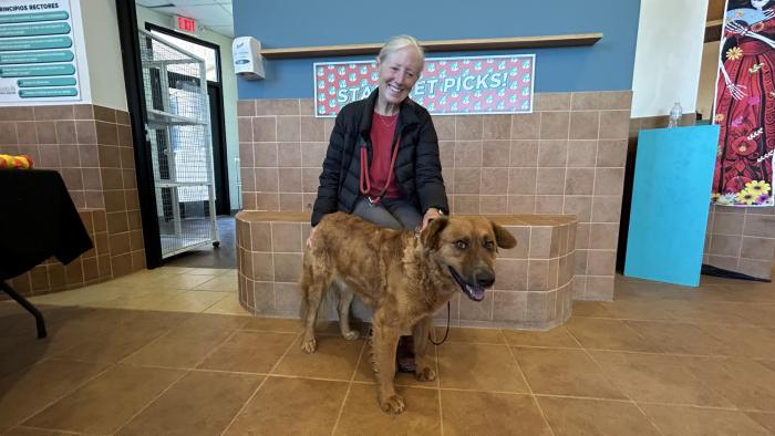 Red: Foto cortesía de Santa Fe Animal Shelter & Humane Society