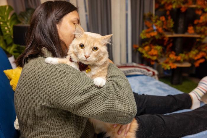 Person holding a cream colored cat (who is wearing a bow tie) over her shoulder