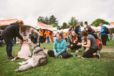 Group of people and dogs at a Strut Your Mutt event with tents in the background