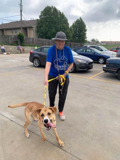 Person wearing a hat walking a happy dog outside on a leash