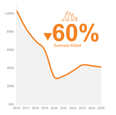 Chart showing the number of animals killed is decreased by 60% since 2016