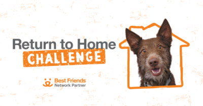 Return to Home Challenge graphic with a dog