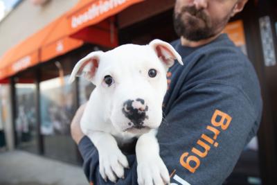Person holding a white puppy in front of a Best Friends location