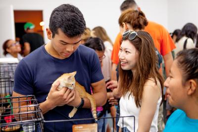 Two people in a crowd looking at an orange tabby kitten