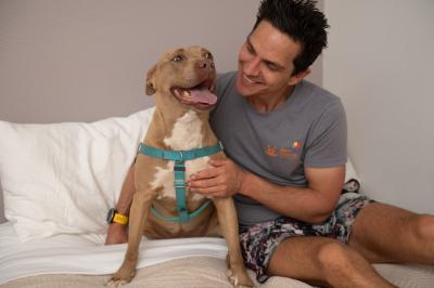 Queen Bee the dog with Adam on a sleepover