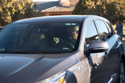 Bella the dog in the back of a car after being adopted