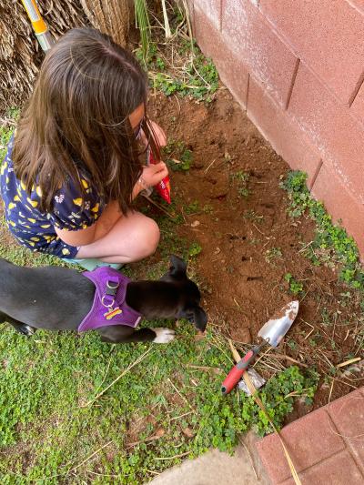 Person planting jelly beans with Luna the dog next to her