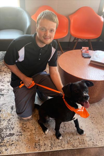 Harper the dog being adopted