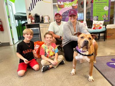 Potato the dog with his new family