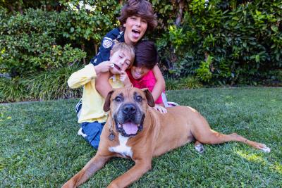Greg the dog lying on a lawn with three children making faces behind him
