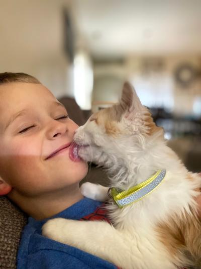 Chester the cat licking the face of a smiling child