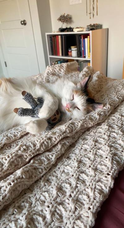 Maggie the cat lying on a blanket and holding a stuffed toy
