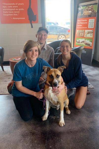 Homer the dog with his new family