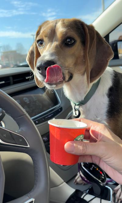 Zoe (aka Slinking) licking lips after drinking from a cup while in car